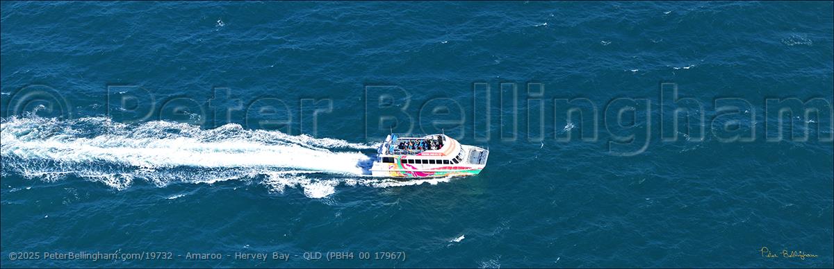 Peter Bellingham Photography Amaroo - Hervey Bay - QLD (PBH4 00 17967)